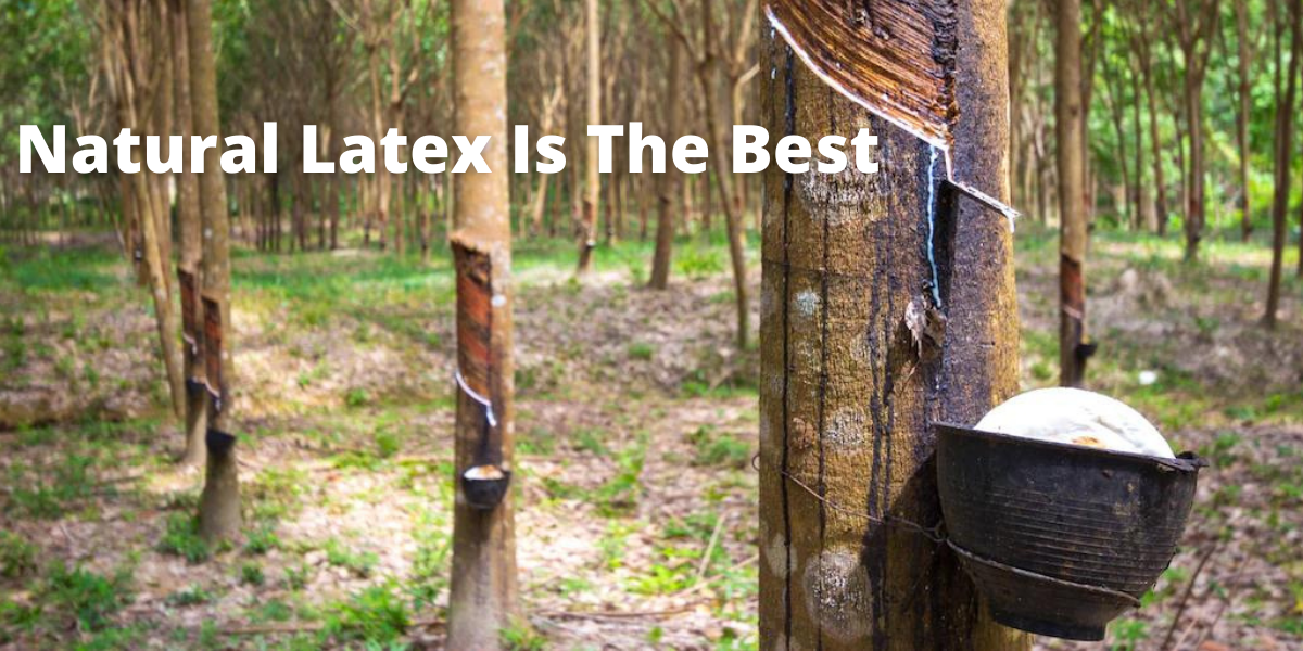 The Excellent Benefits Of Natural Latex Mattress – Getha Singapore ...