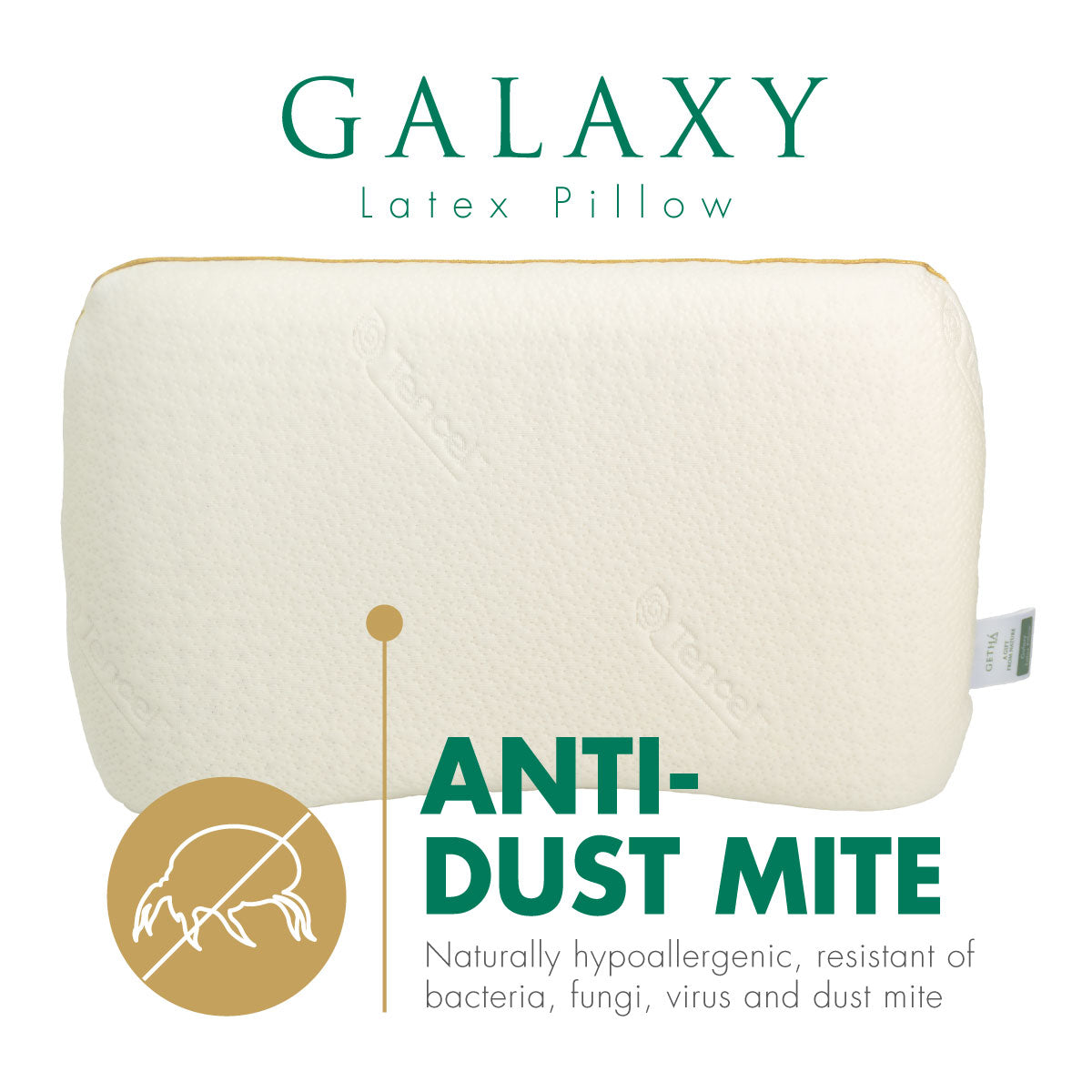 Galaxy Latex Pillow for back sleepers