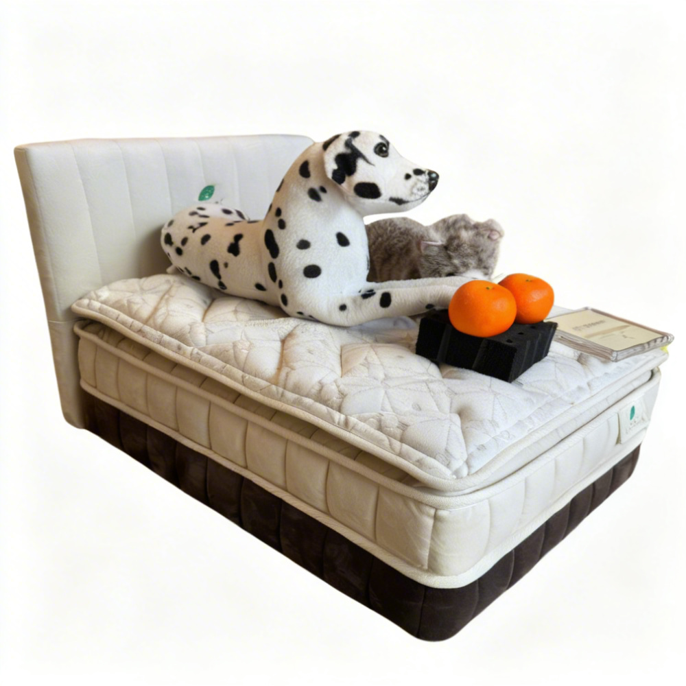 [Display Clearance] Pet Bed Frame Set