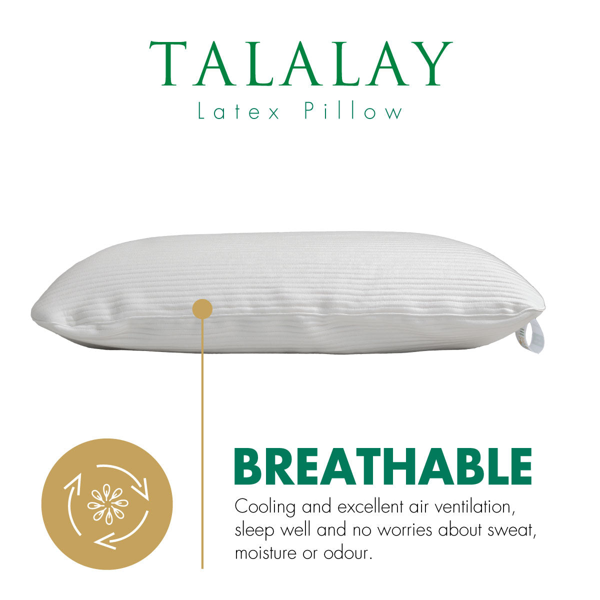 Talalay Latex Pillow