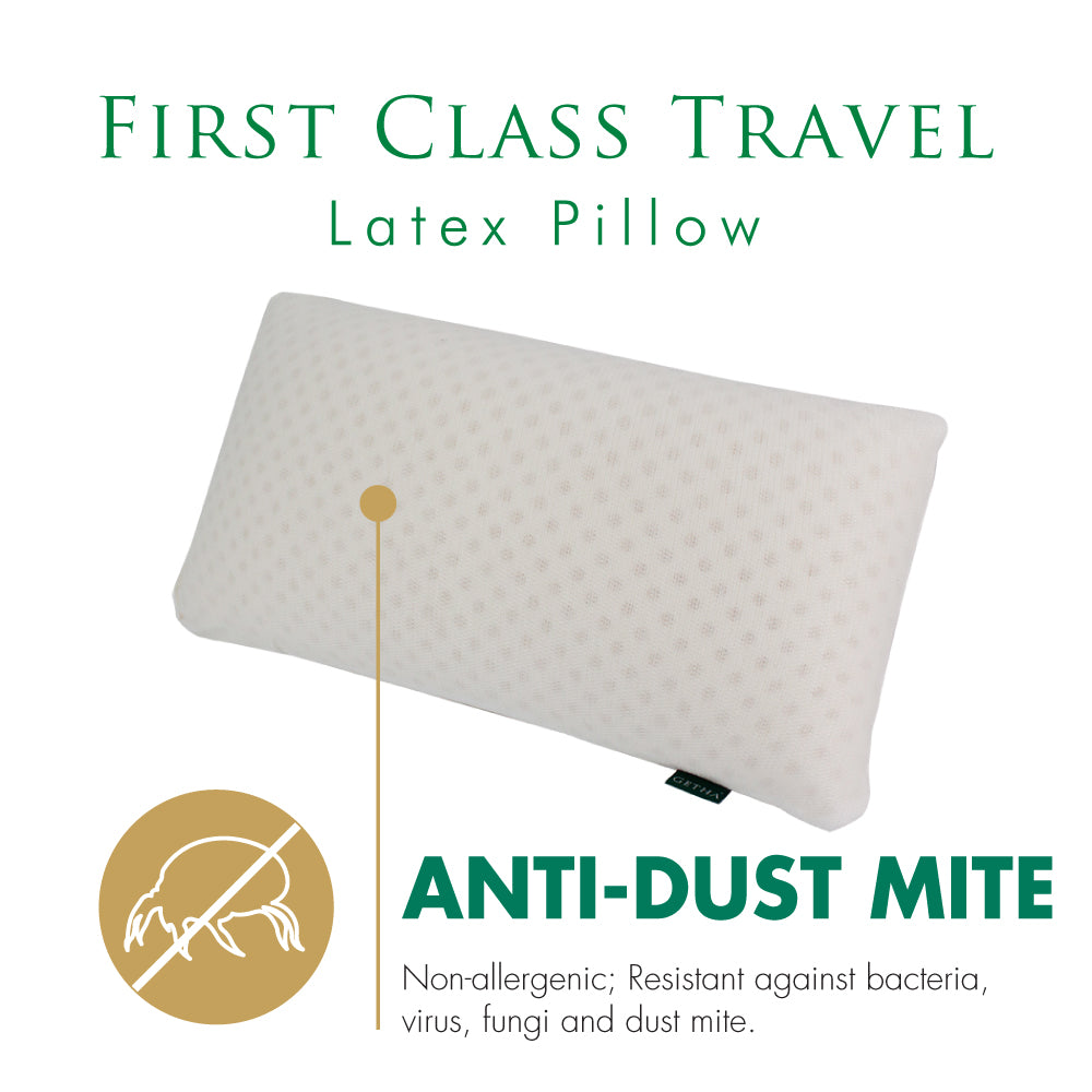 Anti-dust mite travel pillow