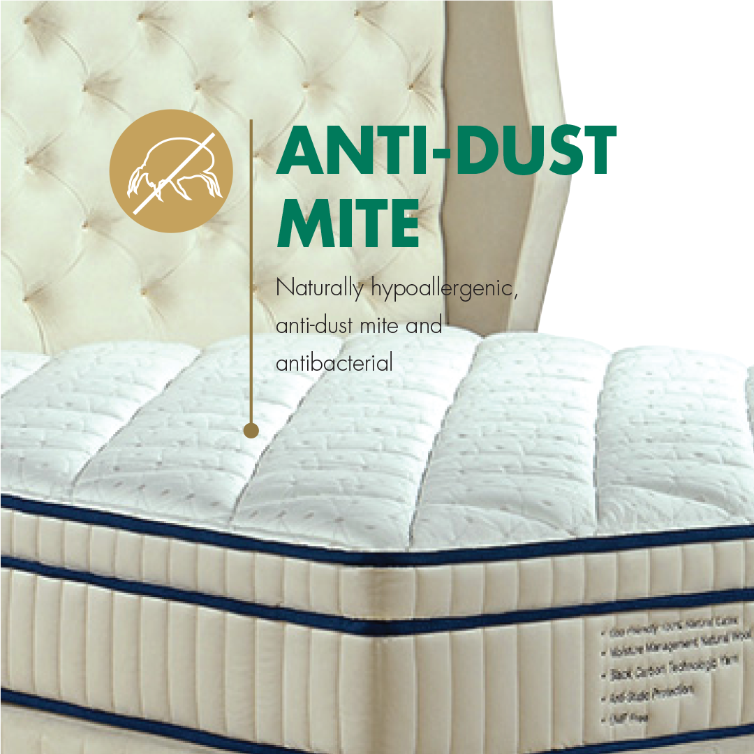 Anti Dust Mite Genetics 100 Latex Mattress