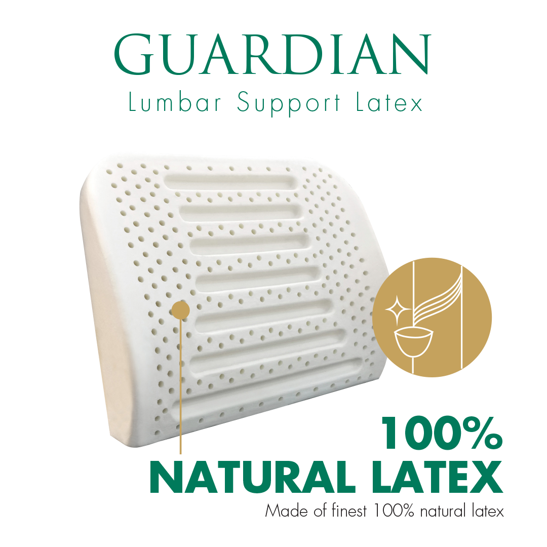 Getha Guardian Lumbar Support Latex Cushion Getha Singapore Online Store