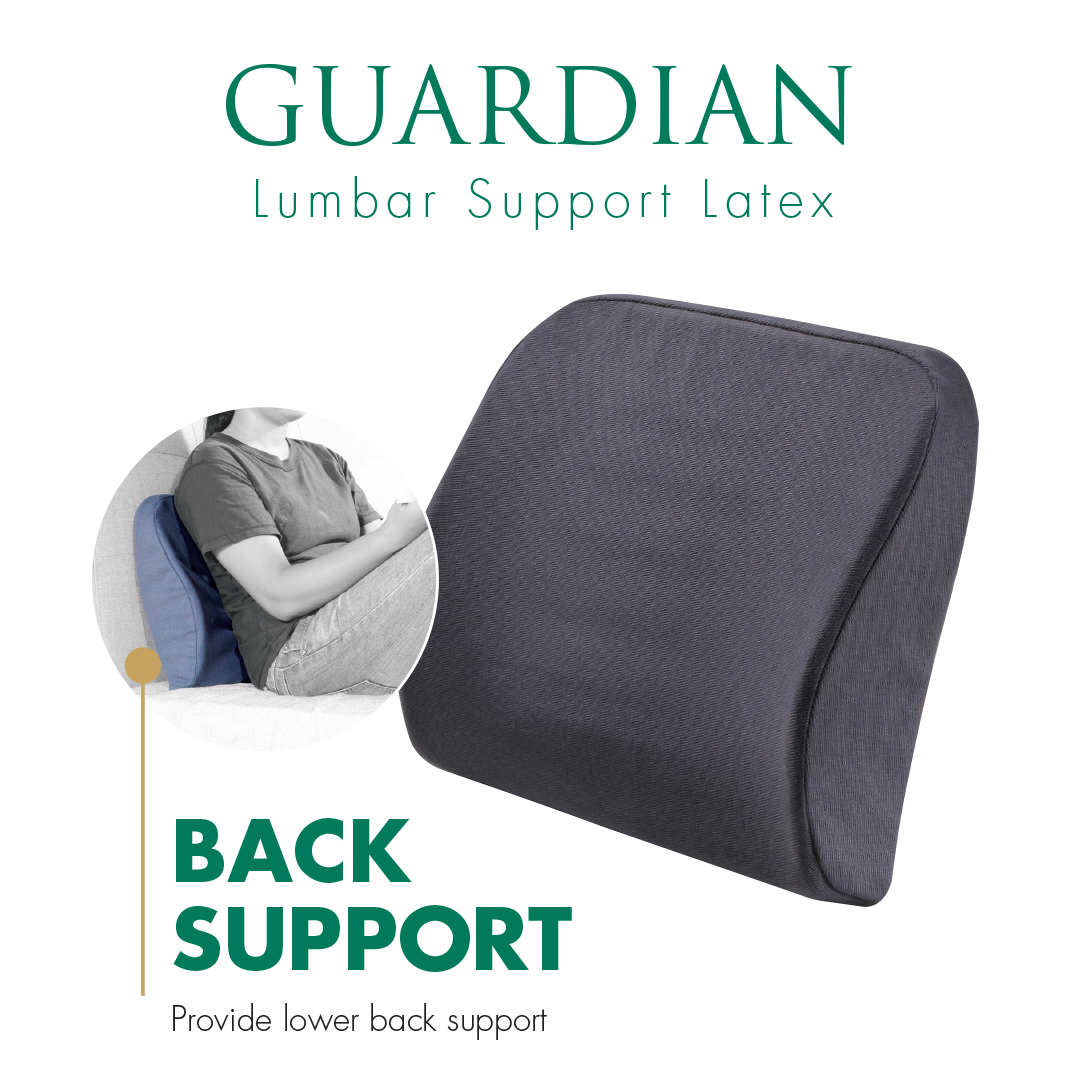 Getha Guardian Lumbar Support Latex Cushion Getha Singapore Online Store