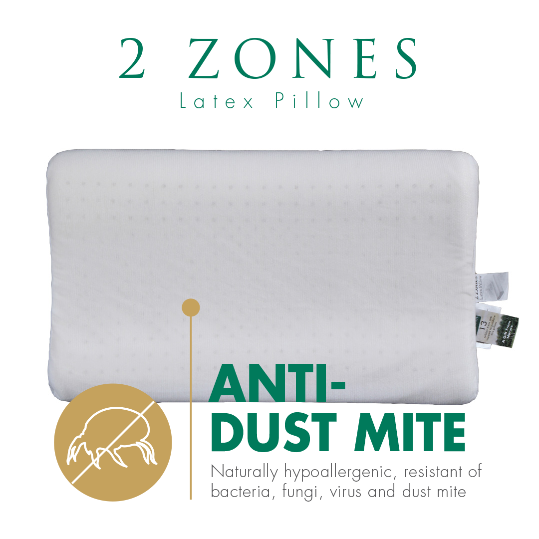 2 Zones Latex Pillow Anti-Dust Mite