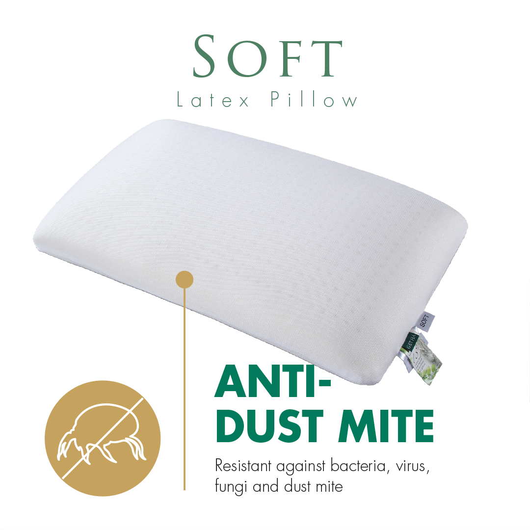 Anti Dust Mite Soft Pillow