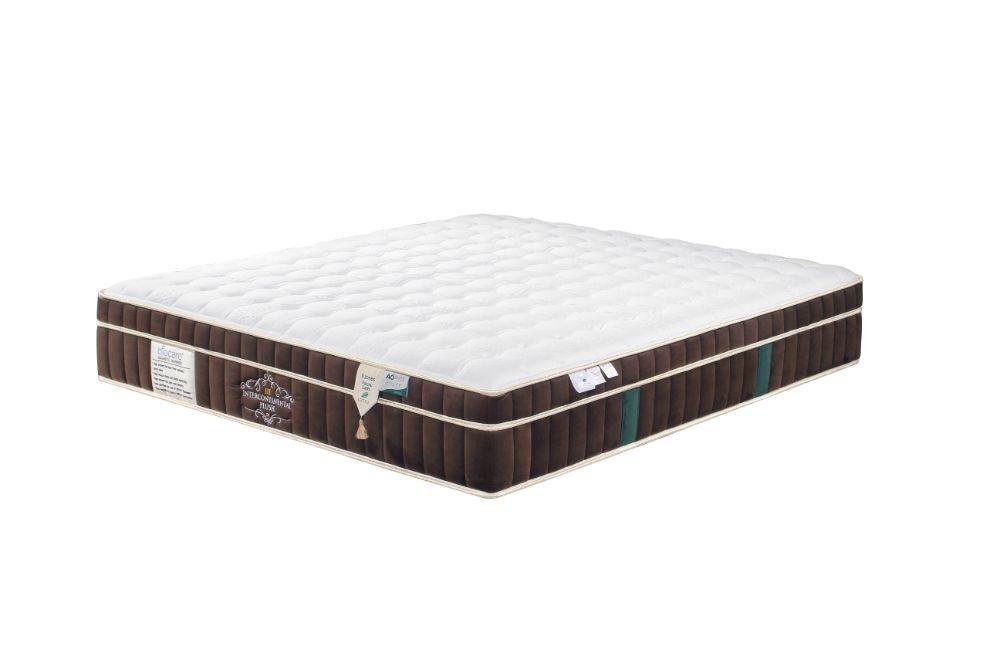 Intercontinental Plush III mattress bed