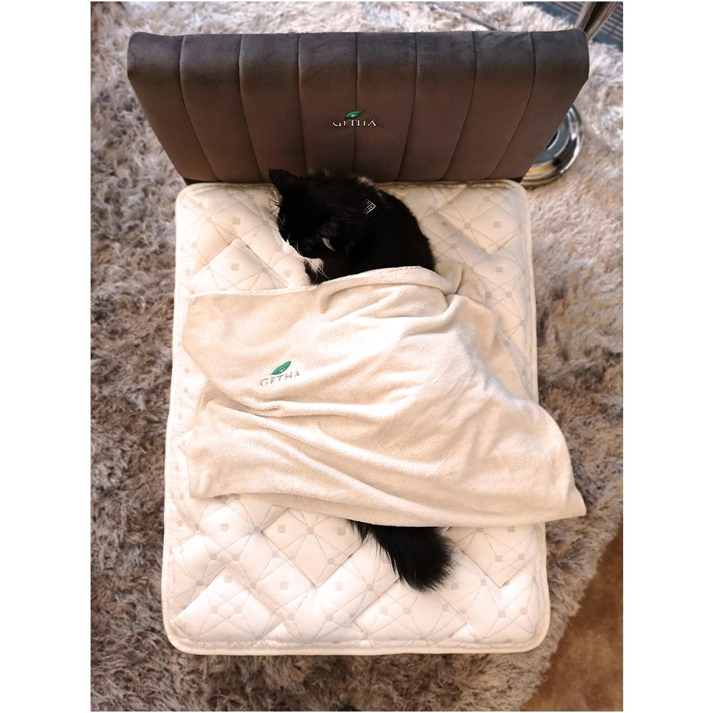 Cat is sleeping on Getha Pet Bed
